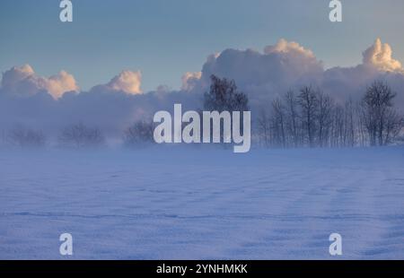 Paysage hivernal Banque D'Images