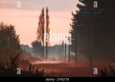 Une scène de campagne tranquille à l'aube, avec de grands peupliers silhouettes sur un ciel pastel, avec une rangée de lignes électriques menant à la brume Banque D'Images