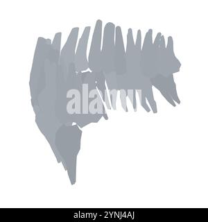 Types de silhouette dentaire. Diverses dents humaines avec racines, molaires, prémolaires, canines. Illustration vectorielle. Illustration de Vecteur