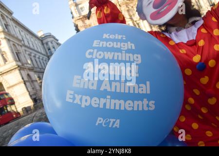 Londres, Royaume-Uni. 26 novembre 2024. Les militants de PETA vêtus de clowns et portant les masques des anciens premiers ministres britanniques organisent une manifestation devant Downing Street, appelant le premier ministre actuel Keir Starmer à cesser de « clowner » et à mettre fin aux expériences animales. Crédit : Vuk Valcic/Alamy Live News Banque D'Images