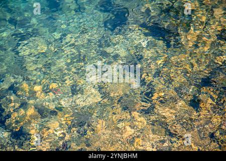 La lumière du soleil illumine les fonds marins rocheux à travers l'eau cristalline, révélant les textures et les couleurs complexes sous la surface. Banque D'Images