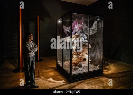 Londres, Royaume-Uni. 26 novembre 2024. Lignes de pouvoir et la mariée par Liliane Lijn - la nouvelle exposition de Tate Modern rêves électriques : l'art et la technologie avant l'Internet. Le salon célèbre les premiers innovateurs de l’art optique, cinétique, programmé et numérique qui ont été les pionniers d’une nouvelle ère d’installations sensorielles immersives et d’œuvres générées automatiquement. Crédit : Guy Bell/Alamy Live News Banque D'Images