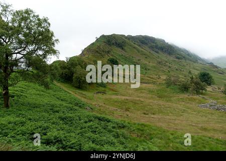 « Rough Crag » sur la route vers la chaîne de collines « High Street » depuis Mardale à Haweswater, Lake District National Park, Cumbria, Angleterre, Royaume-Uni Banque D'Images