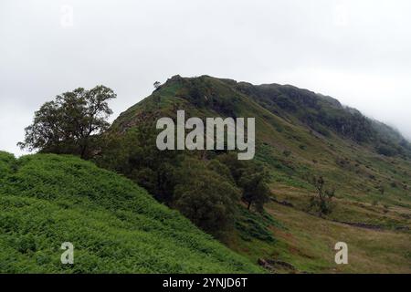 « Rough Crag » sur la route vers la chaîne de collines « High Street » depuis Mardale à Haweswater, Lake District National Park, Cumbria, Angleterre, Royaume-Uni Banque D'Images