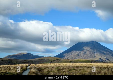 Nouvelle-Zélande, Île du Nord, Parc national de Tongariro, Mont Tongariro Banque D'Images