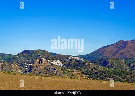 Landschaft, Ort, Casares, Sierra Crestellina, Parc naturel Los Reales de Sierra Bermeja Banque D'Images