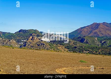 Landschaft, Ort, Casares, Sierra Crestellina, Parc naturel Los Reales de Sierra Bermeja Banque D'Images