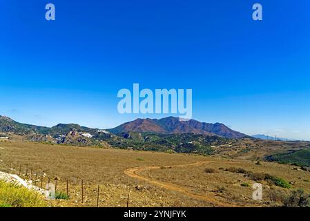 Landschaft, Ort, Casares, Sierra Crestellina, Parc naturel Los Reales de Sierra Bermeja Banque D'Images