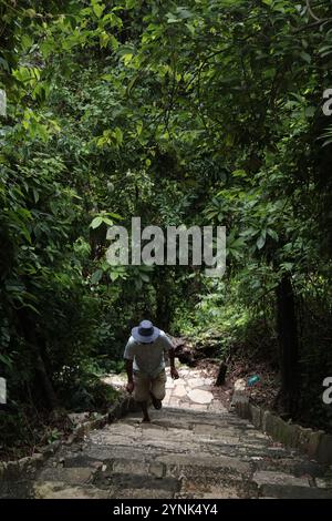 Homme montant les escaliers au milieu de la jungle, site archéologique Palenque, Chiapas, Mexique Banque D'Images