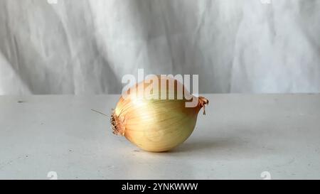 Un seul oignon frais repose sur une surface lisse, prêt à être utilisé culinaire. Banque D'Images