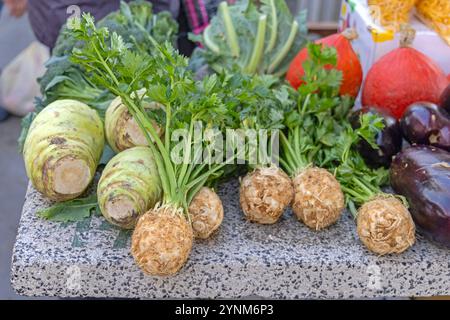 Racine de céleri Celeriac légumes de navet à vendre au Farmers Market Stall Banque D'Images