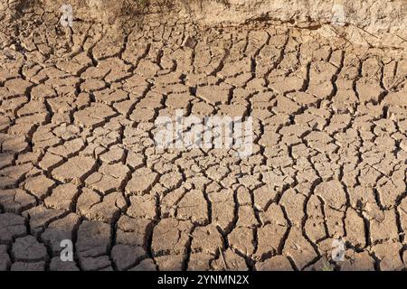 Le sol fissuré et sec illustre la grave sécheresse qui affecte. Le manque de précipitations est évident dans les terres desséchées, montrant urgent environnemental c Banque D'Images