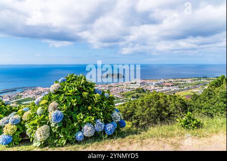 Une vue sur les hortensias à côté de la chapelle de notre-Dame de la paix à travers Ribeira Seca sur l'île de San Miguel dans les Açores en été Banque D'Images