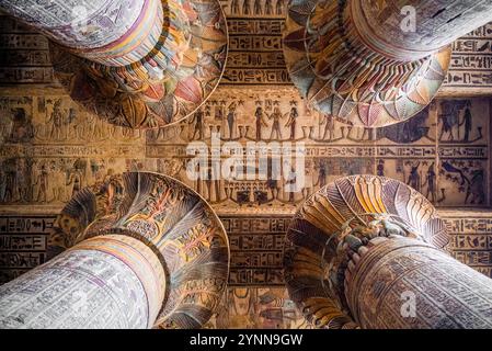 Le plafond du temple égyptien d’Esna a révélé une exposition vibrante qui comprend un ensemble de signes du zodiaque et une inondation annuelle du Nil. Banque D'Images