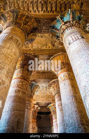 Le plafond du temple égyptien d’Esna a révélé une exposition vibrante qui comprend un ensemble de signes du zodiaque et une inondation annuelle du Nil. Banque D'Images