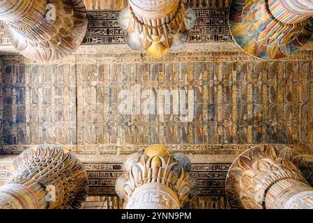 Le plafond du temple égyptien d’Esna a révélé une exposition vibrante qui comprend un ensemble de signes du zodiaque et une inondation annuelle du Nil. Banque D'Images