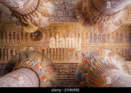 Le plafond du temple égyptien d’Esna a révélé une exposition vibrante qui comprend un ensemble de signes du zodiaque et une inondation annuelle du Nil. Banque D'Images