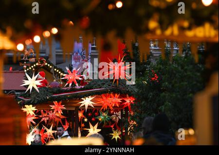 26 novembre 2024, Saxe-Anhalt, Halle (Saale) : poinsettias brillants au marché de Noël de Halle. L'ouverture officielle a commencé avec l'allumage des lumières du sapin de Noël sur l'épinette de 13 mètres de haut. Environ 100 magasins participent sur la place du marché et devant la salle de concert Ulrichskirche. Photo : Heiko Rebsch/dpa Banque D'Images