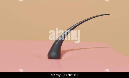 Illustration 3D d'un follicule pileux humain. Un follicule pileux humain est une petite structure complexe située dans la peau, responsable de la croissance. Banque D'Images