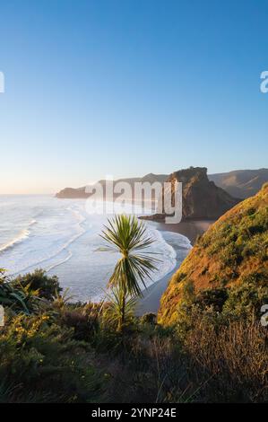 Magnifique point de vue coucher de soleil sur la plage de South Piha, Auckland, Nouvelle-Zélande Banque D'Images
