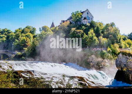 Chutes du Rhin et château de Laufen. Rhin Falls est une cascade située en Suisse et la cascade la plus puissante d'Europe. Les chutes sont situées sur th Banque D'Images