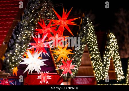 Erfurt, Allemagne. 26 novembre 2024. Poinsettias suspendus devant une cabane au marché de Noël d'Erfurt. Crédit : Jacob Schröter/dpa/Alamy Live News Banque D'Images