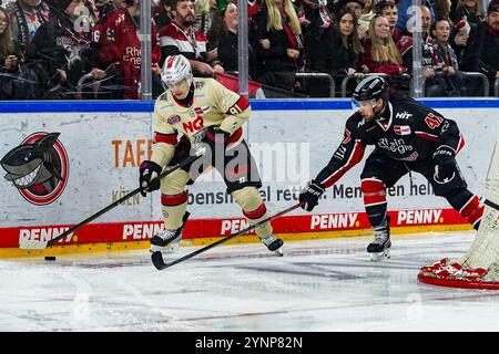 Allemagne. 26 novembre 2024. Eishockey Penny-DEL 20.Spieltag Koelner haie - Nuernberg Ice Tigers AM 26.11.2024 in der Lanxess Arena in Koeln Jeremy McKenna ( Nuernberg ), links - Brady Austin ( Koeln ), rechts Gemaess den Vorgaben der DEL Deutsche Eishockey Liga ist die Publikation und Weiterverwertung der Aufnahmen in elekischen Medien und Endgeraeten Art waefessit. Foto : Revierfoto crédit : ddp Media GmbH/Alamy Live News Banque D'Images