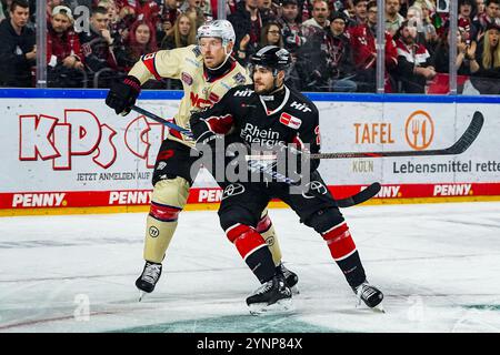 Allemagne. 26 novembre 2024. Eishockey Penny-DEL 20.Spieltag Koelner haie - Nuernberg Ice Tigers AM 26.11.2024 in der Lanxess Arena in Koeln Ryan Stoa ( Nuernberg ), links - Maximilian Gloetzl ( Koeln ), rechts Gemaess den Vorgaben der DEL Deutsche Eishockey Liga ist die Publikation und Weiterverwertung der Aufnahmen in elektronischen Medien und Endgeraeten Art wendaetel. Foto : Revierfoto crédit : ddp Media GmbH/Alamy Live News Banque D'Images