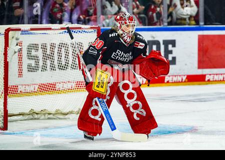 Allemagne. 26 novembre 2024. Eishockey Penny-DEL 20.Spieltag Koelner haie - Nuernberg Ice Tigers AM 26.11.2024 in der Lanxess Arena in Koeln Mirko Pantkowski ( Koeln ) Gemaess den Vorgaben der DEL Deutsche Eishockey Liga ist die Publikation und Weiterverwertung der Aufnahmen in elektronischen Medien und aller geraeten Art waehenden Spiels nicht zulag. Foto : Revierfoto crédit : ddp Media GmbH/Alamy Live News Banque D'Images