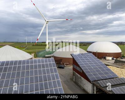 L'usine de biogaz produit du gaz à partir de la biomasse, l'électricité est produite dans des centrales de cogénération de chaleur et d'électricité avec le biogaz produit et vendu aux entreprises en t Banque D'Images