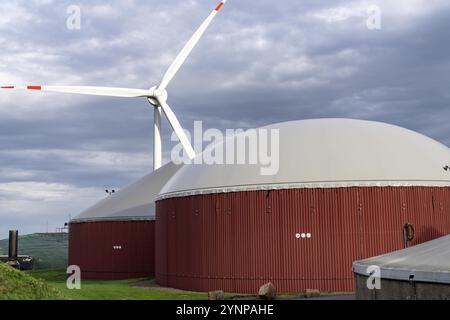 L'usine de biogaz produit du gaz à partir de diverses biomasses, l'électricité est produite dans des centrales de cogénération de chaleur et d'électricité avec le biogaz produit et vendu à COMPAN Banque D'Images