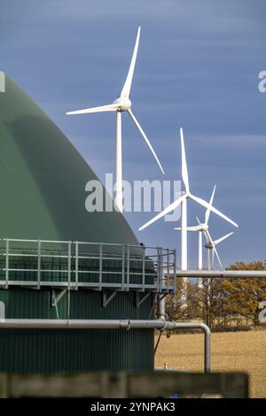 Usine de biogaz, le gaz est produit à partir de diverses biomasse, y compris les déchets de l'industrie alimentaire, l'électricité est produite en chaleur combinée et powe Banque D'Images