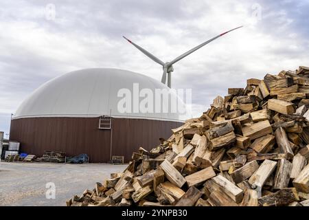 L'usine de biogaz produit du gaz à partir de diverses biomasse, ici le stockage du bois, l'électricité est produite dans des centrales de chaleur et d'électricité combinées avec le biogaz p Banque D'Images