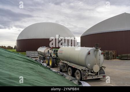 L'usine de biogaz produit du gaz à partir de diverses biomasses, l'électricité est produite dans des centrales de cogénération de chaleur et d'électricité avec le biogaz produit et vendu à COMPAN Banque D'Images