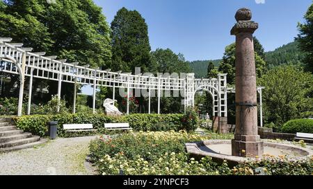 Rosarium dans les jardins du spa Bad Wildbad Banque D'Images