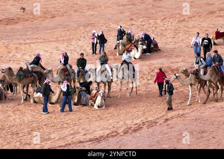 Jordanie, Wadi Rum, 2 novembre 2022 : les chameaux reposent sur le sable dans le désert, les gens autour, l'Asie Banque D'Images