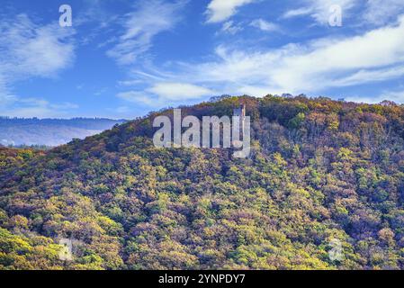 Le Moltkewarte une tour près de Sangerhausen dans la forêt avec des couleurs d'automne Banque D'Images