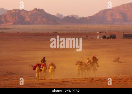 Jordanie, Wadi Rum, 2 novembre 2022 : caravane de chameaux avec des drovers dans le désert, montagnes rocheuses au coucher du soleil, Asie Banque D'Images