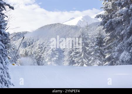 Bansko, Bulgarie panorama de la station de ski d'hiver avec des pins forestiers, Pirin vue sur les sommets et la pente Banque D'Images