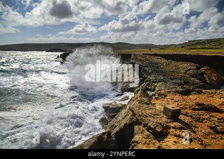 Vue sur la côte rocailleuse d'Aruba et la mer des Caraïbes Banque D'Images