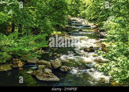 Une vue sur le lit de la rivière Bode dans les montagnes Harz sous un soleil magnifique Banque D'Images