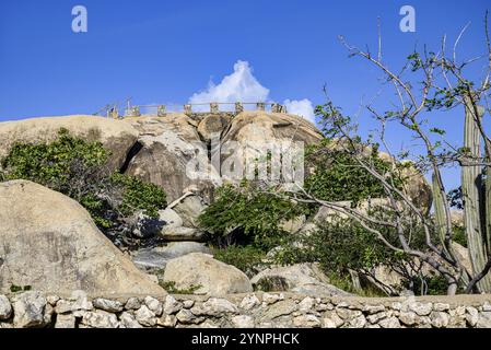 Un parc sur l'île caribéenne d'Aruba aux formations rocheuses de Casibari par beau temps Banque D'Images