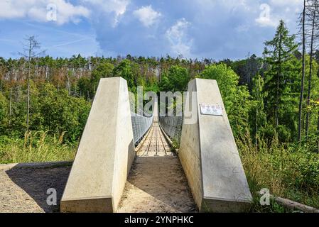 Vue sur le pont suspendu Hohen Schrecke en été Banque D'Images