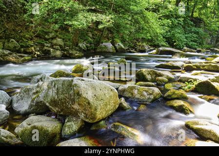 Une vue sur le lit de la rivière Bode dans les montagnes Harz sous un soleil magnifique Banque D'Images