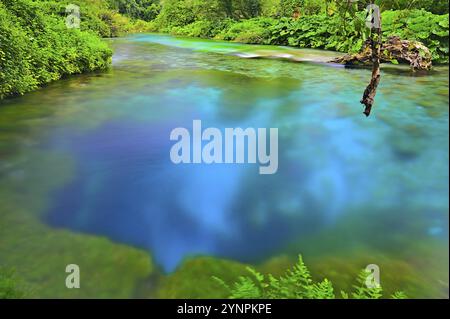 Syri i Kalter ou Blue Eye, un printemps naturel avec une couleur bleu incroyable Banque D'Images