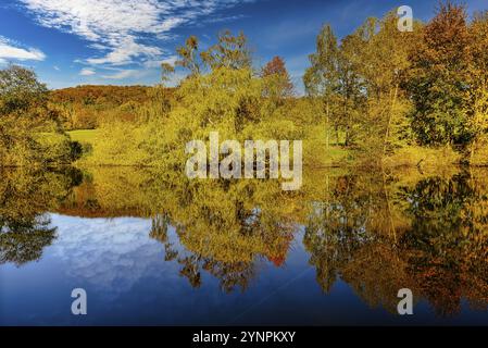 Une vue fascinante des couleurs de l'automne dans la forêt avec de belles réflexions dans l'eau du lac Banque D'Images