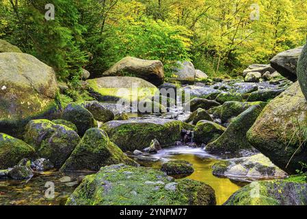 Un paysage d'automne pittoresque avec de grandes pierres dans le lit de la rivière Oker, engagement île dans les montagnes du Harz, Allemagne, Europe Banque D'Images