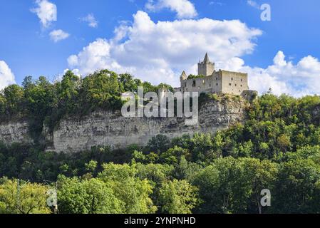 Une vue sur les Rudelsburg sur la Saale en Thuringe Allemagne Banque D'Images