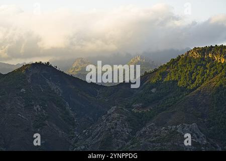 Paysage du parc national Hotova Dangell avec vue sur le paysage verdoyant malgré des conditions estivales sèches Banque D'Images