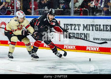 Allemagne. 26 novembre 2024. Eishockey Penny-DEL 20.Spieltag Koelner haie - Nuernberg Ice Tigers AM 26.11.2024 in der Lanxess Arena in Koeln Roman Kechter ( Nuernberg ), links - Robin van Calster ( Koeln ), rechts Gemaess den Vorgaben der DEL Deutsche Eishockey Liga ist die Publikation und Weiterverwertung der Aufnahmen in elektronischen Medien und Endgeraeten Art wendaeten Spikallel. Foto : Revierfoto crédit : ddp Media GmbH/Alamy Live News Banque D'Images